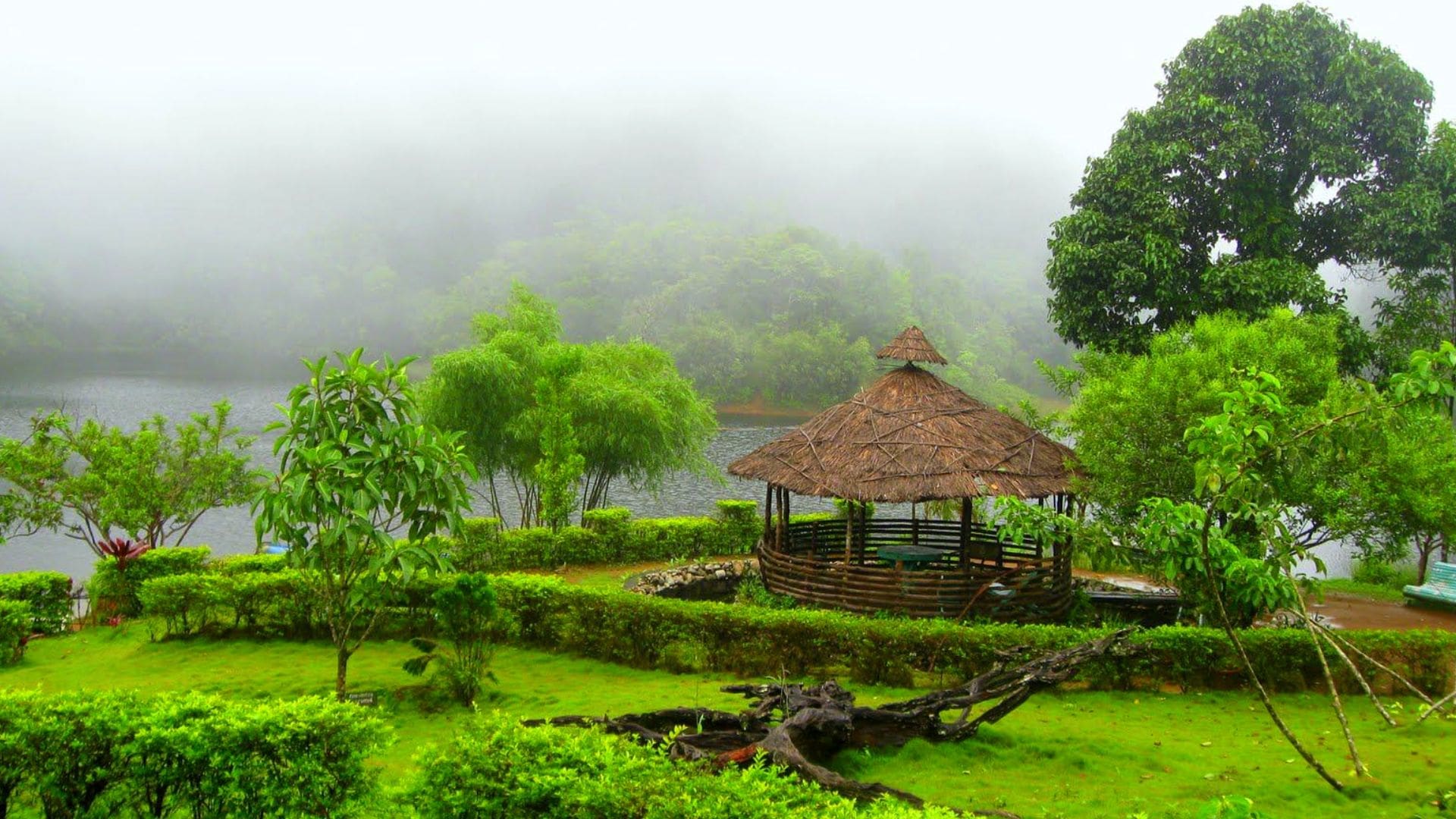 Gavi, Pathanamthitta